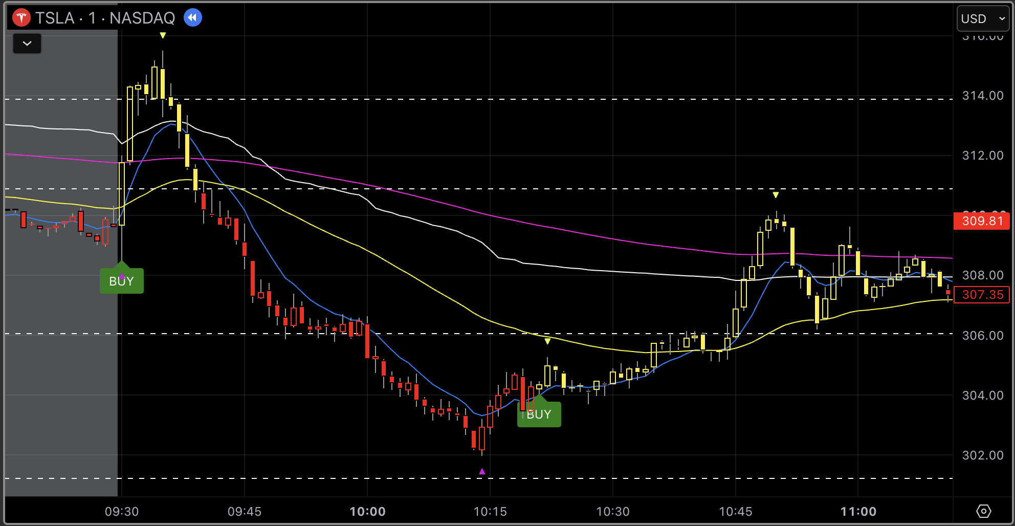 Live session chart with DDT levels and signals